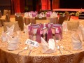 Tn hi tea alumni  14  008